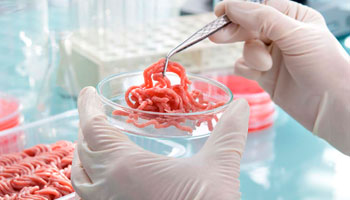 Microbiología Avanzada en Procesos Alimentarios