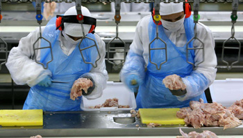 2023 - Food Safety Culture: Basado en el Cambio del Comportamiento Humano